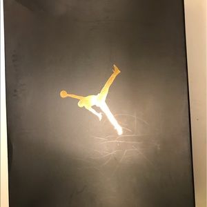 Jordan Retro 11- Heiress Stingray